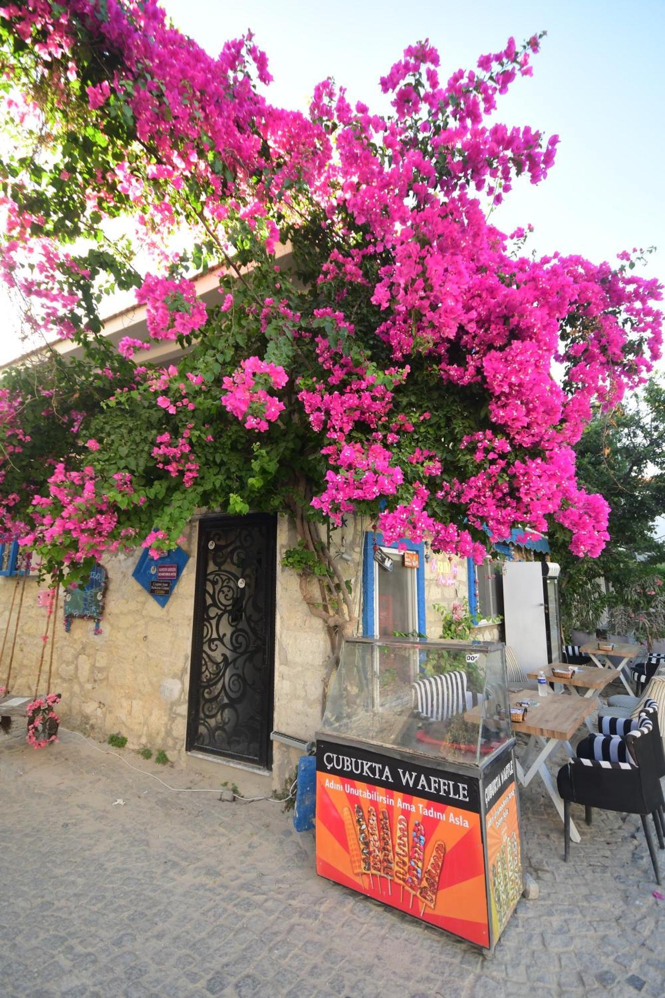 Hotel Usta X çırak Butik İzmir